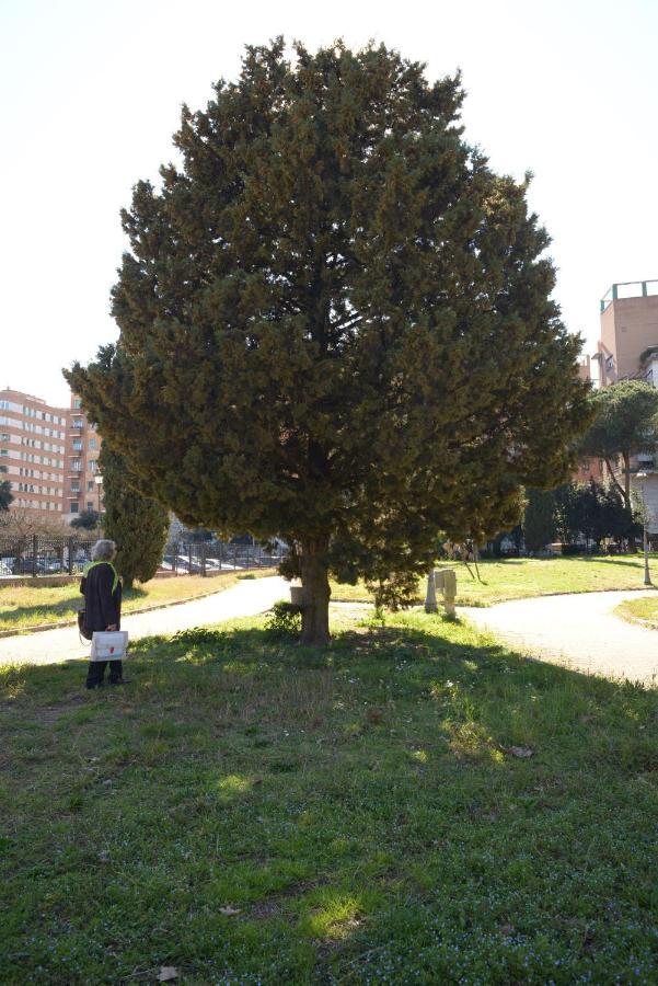 Brezza Marina Roma Exterior foto